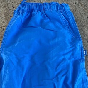 Aritzia Vibrant Blue Women's Shorts